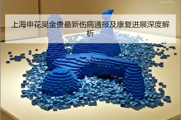 上海申花吴金贵最新伤病通报及康复进展深度解析